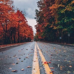 product2 free img.jpg